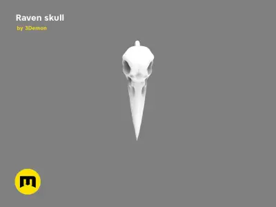 Raven Skull Free 3D print model