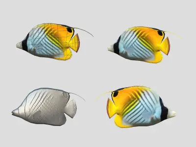 Fish Collection Animated - Game Ready Pack 6 Low-poly 3D model