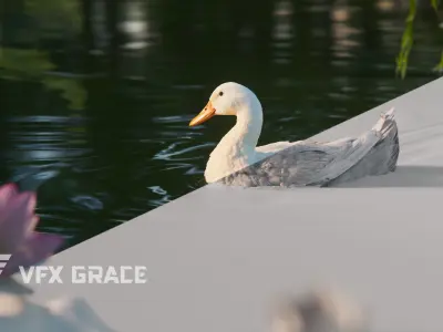 Duck Animated VFX Grace 3D model