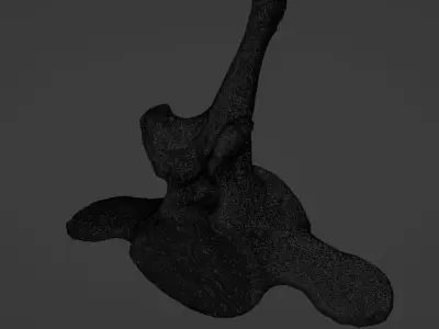 Whale vertebra Low-poly 3D model