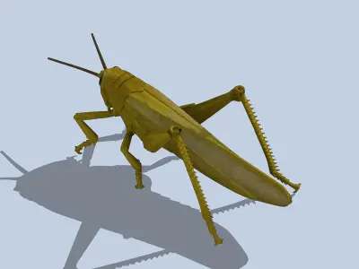 Grasshopper Low-poly 3D model
