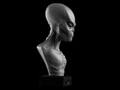 Alien Grey 3D print model purchase