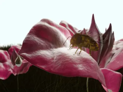 Bouganville flower with hornet 3D model