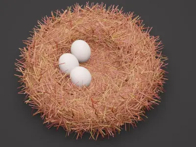 Bird Nest Free 3D model