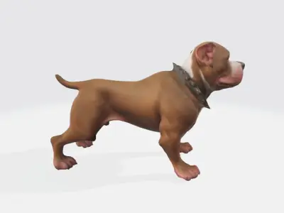 Pitbull dog 3D model