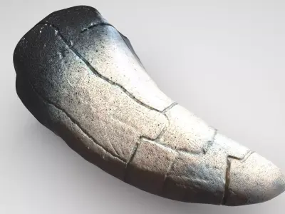 Dragon Tooth 3D model