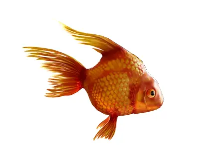 Golden Fish Rigged Low-poly 3D model