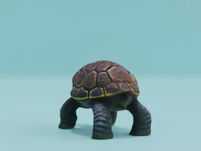 Cute Turtle Low-poly 3D model