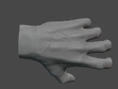 Human hand 3D model