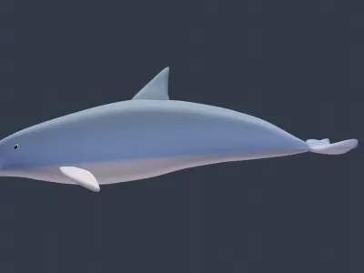 Cute Dolphin Low-poly 3D model