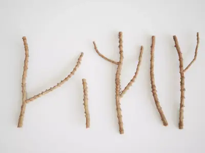 Small Branches 3D model