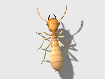 rigged animated termite white ant Low-poly 3D model