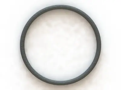 O Ring Vedabras 12199 3D model