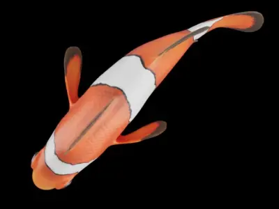 Cute Realistic Animation-Ready Clownfish 3D model