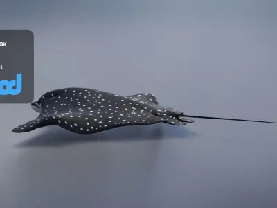 Spotted Eagle Ray 3D model