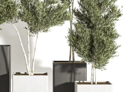 indoor plant vol 28 3D model