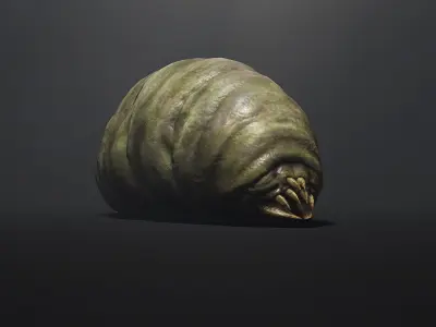 Land Larva1 - Game Ready Low-poly 3D model Low-poly 3D model