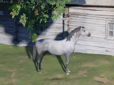 Realistic Gray Horse  Low-poly 3D model