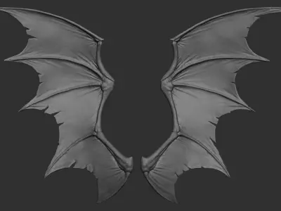10 Creature wings  3D model