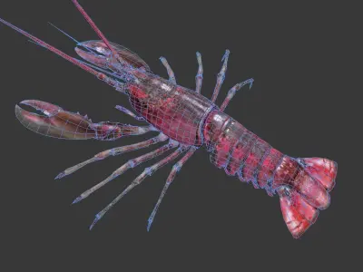 Homarus americanus lobster Low-poly 3D model