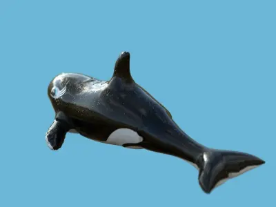 ORCA FLOAT Low-poly 3D model