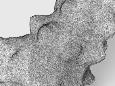 Seashell conch shell 3D model