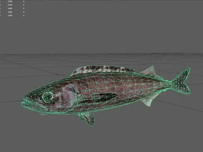 Oilfish Low-poly 3D model