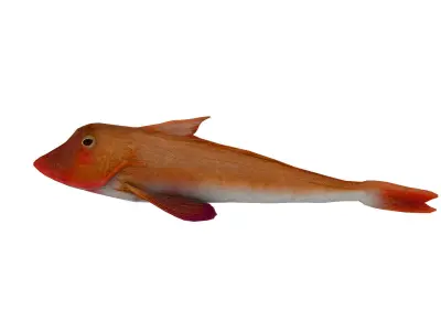Red rockfish Low-poly 3D model