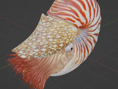 Nautilus Free 3D print model