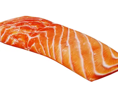 Salmon Fillet Low-poly 3D model