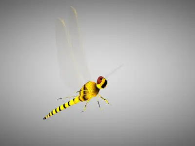 Animated dragon fly and butterfly 3D model