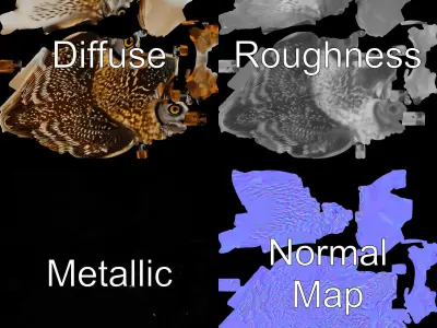 Owl Model Pack Detailed and Versatile Low-poly 3D model