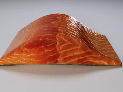 Salmon Fillet 3D model