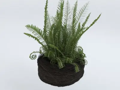 Decorative Plant Pot 3D model