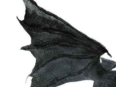 Dragon Croc 3D Wings  3D model