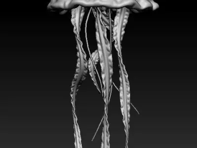 Jellyfish Deep Ocean Creature Base Mesh 3D model
