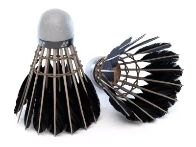 Shuttlecock feather headdress 3D model