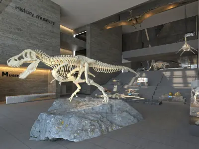 HISTORY MUSEUM 3D model