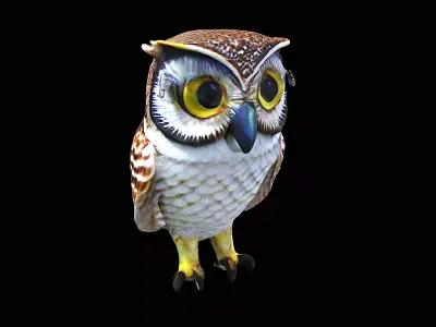 Awesome Owl 3D model