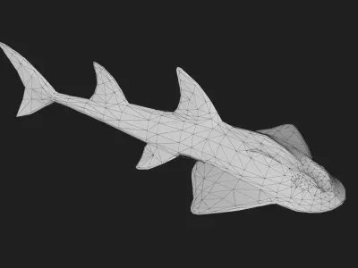Skate Low-poly 3D model