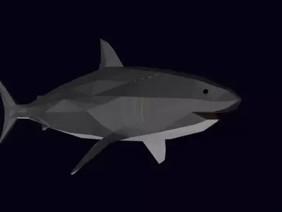 Low Poly Great White Shark Low-poly 3D model
