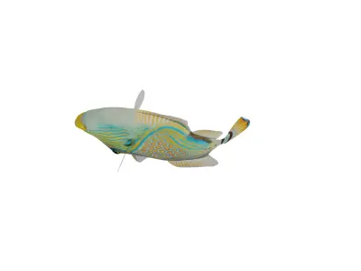 Orangestripe Triggerfish Low-poly 3D model