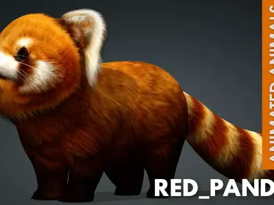 Red Panda A1 Free low-poly 3D model