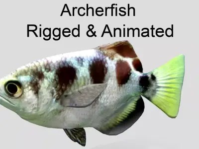 Archerfish Realistic Animated Low-poly 3D model