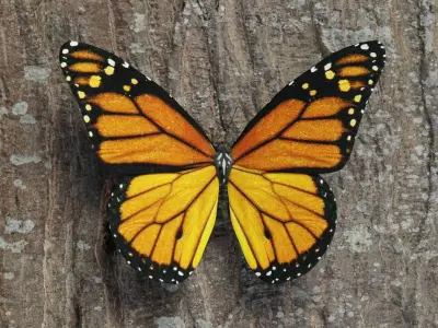 Monarch butterfly Low-poly 3D model