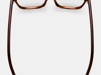 Weathers Eyeglasses in Rye Tortoise 3D model