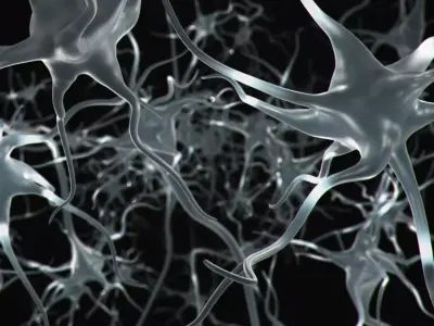 Neuron Cell 3D Model 3D model