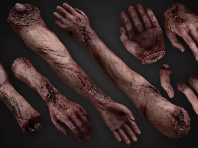 Bloody Human Remains Rigged Low-poly 3D model