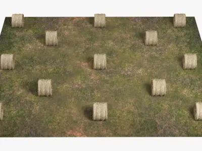Farm Field with Round Hay Bale Rolls Golden Brown Fur 3D model