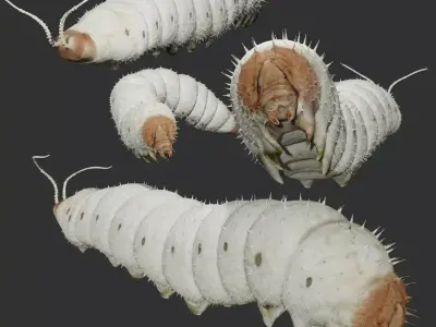 Silkworm fully rigged 3D model